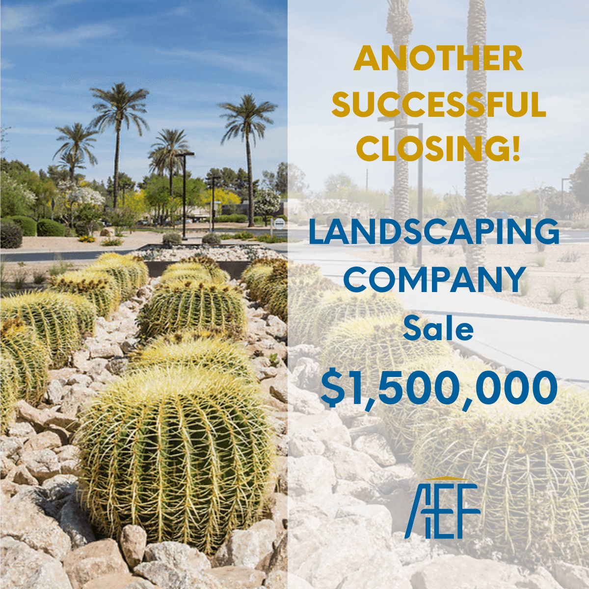 AEF - WINS Landscaping Company